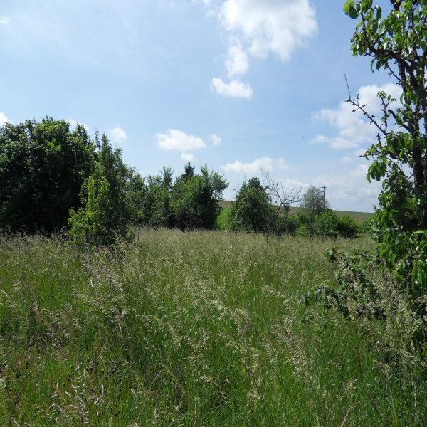 Offres de vente Terrain Solgne 57420