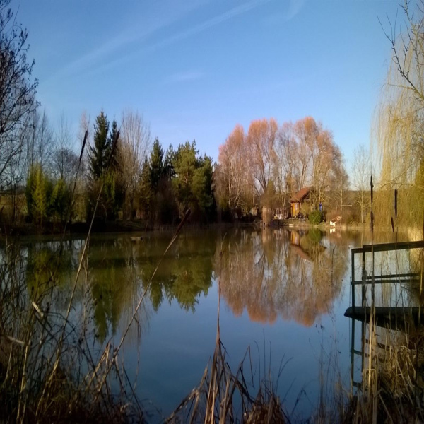 Offres de vente Terrain Solgne 57420