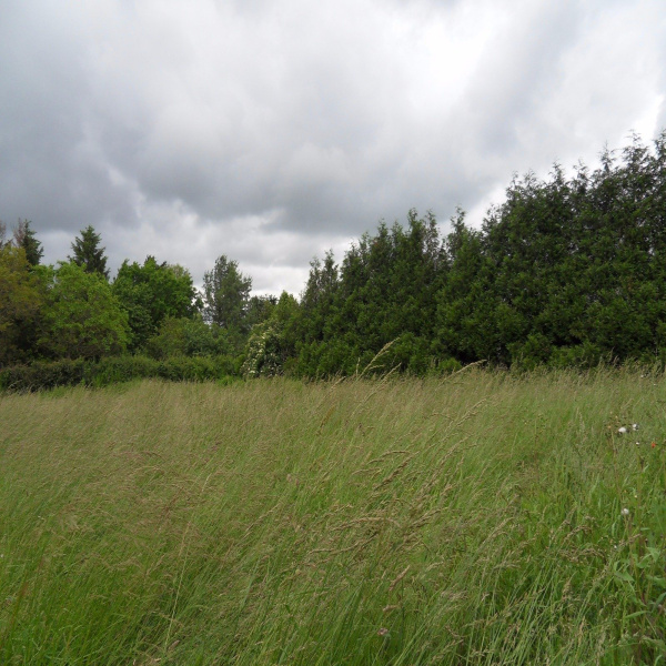 Offres de vente Terrain Sorbey 57580