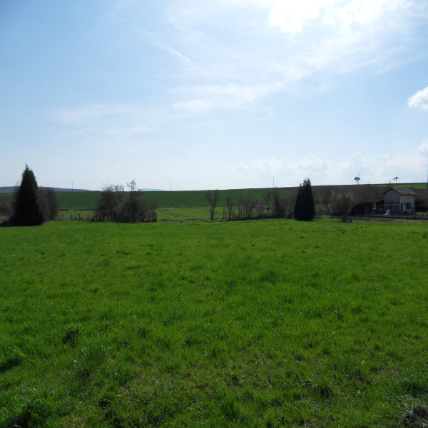 Offres de vente Terrain Chanville 57580