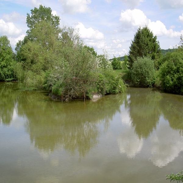 Offres de vente Terrain Ancerville 57580
